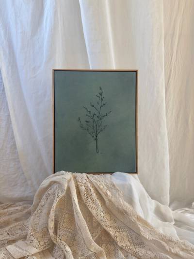 Wildflower iv — main photo