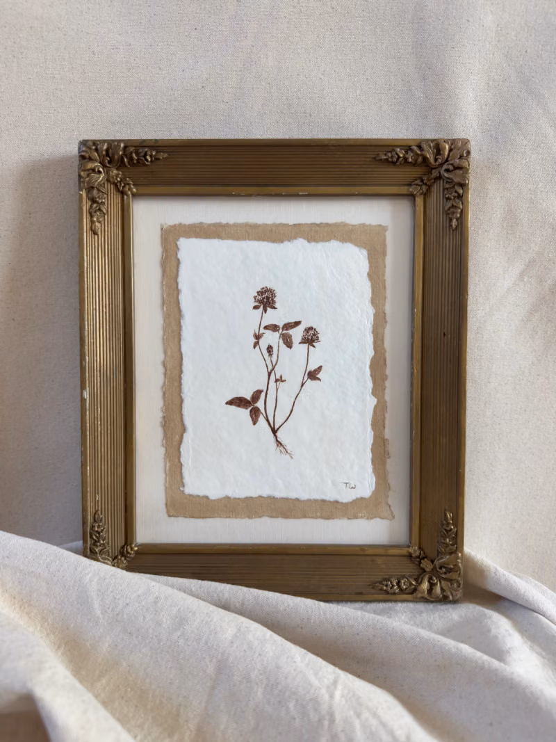 Red Clover Study no.1, original painting