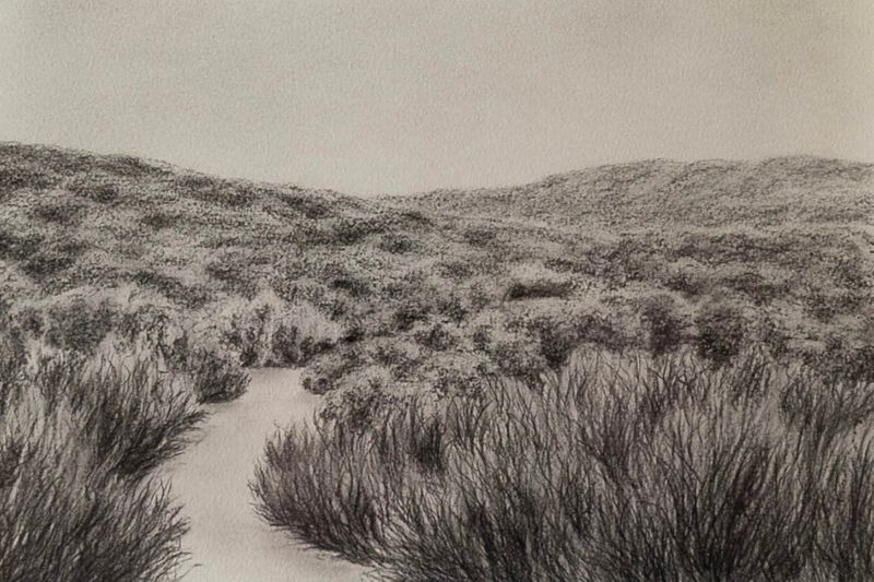 Nature’s Path, fine art print
