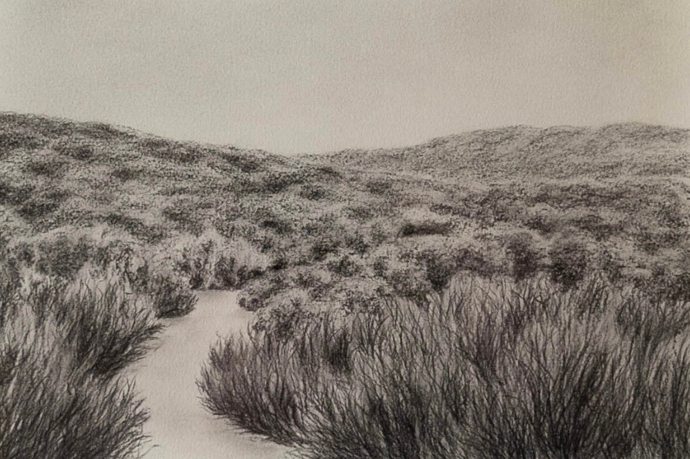 Nature’s Path, fine art print