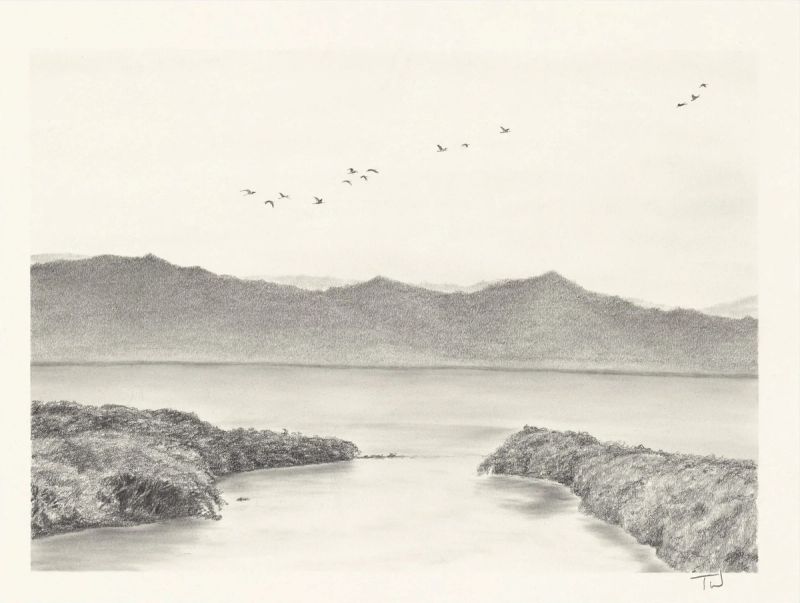 Take Flight, fine art print