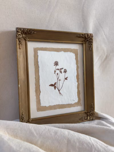 Red Clover Study no. 1 — Red clover study no. 1, detail 2
