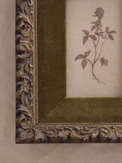 Red Clover Study no. 8 — Red clover mini, detail 2
