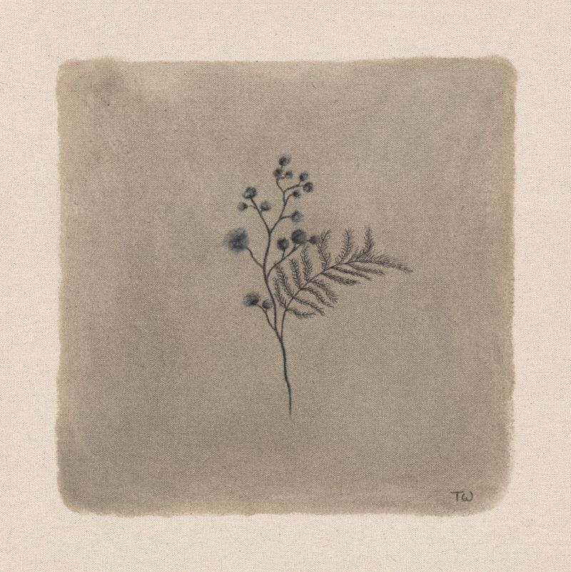 "In Bloom vii", fine art print