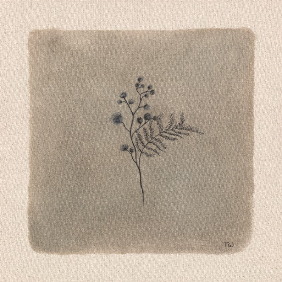 "In Bloom vii", fine art print
