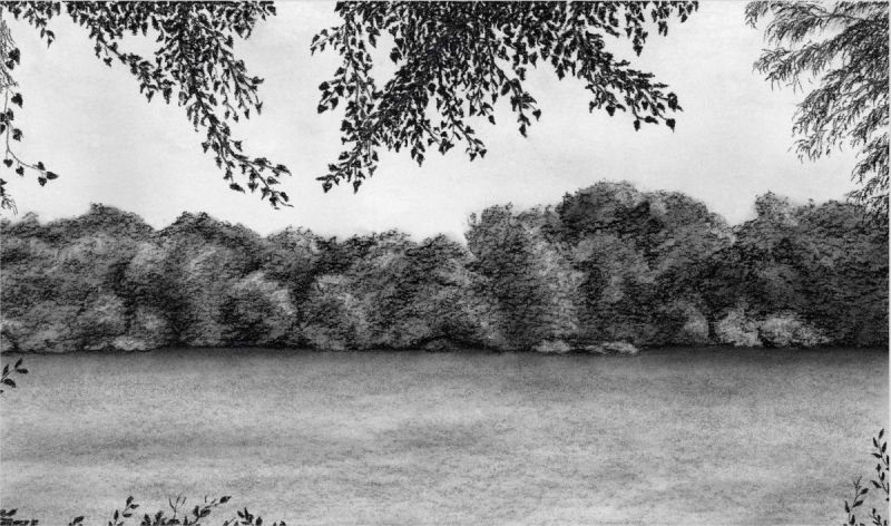 Through The Trees iii, fine art print