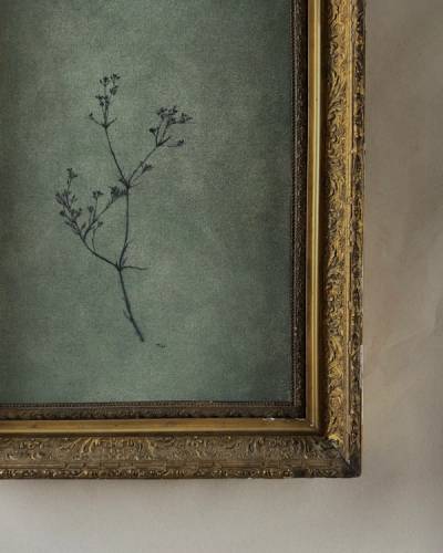 Wildflower i — Wildflower i, detail 2